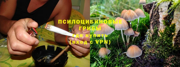 ALPHA PVP Нижневартовск